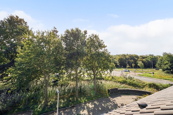 Medium property photo - Zandzeggelaan 199, 2554 HM Den Haag